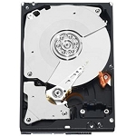 Hard Drives & SSD